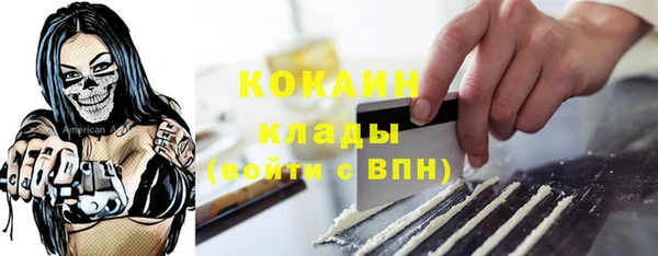 шишки Абаза