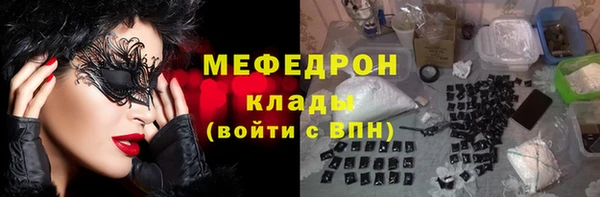 шишки Абаза