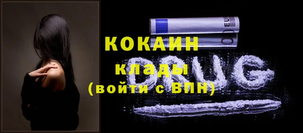 шишки Абаза