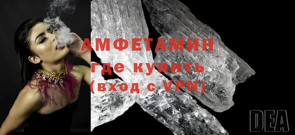 шишки Абаза
