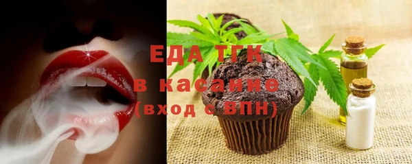 шишки Абаза