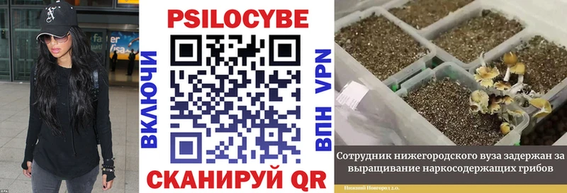 Псилоцибиновые грибы мухоморы  mega зеркало  Уфа 
